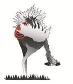 Ono the Ostrich